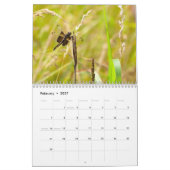 Kalender der Libellen-2014 und des Damselfly (Feb 2027)