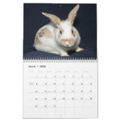 Kalender der Los Angeles-Kaninchen-Grundlagen-2013 (Mär 2026)