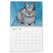 Kalender der Los Angeles-Kaninchen-Grundlagen-2013 (Feb 2026)