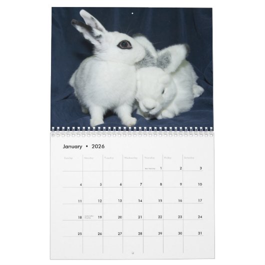 Kalender der Los Angeles-Kaninchen-Grundlagen-2013 (Jan 2026)
