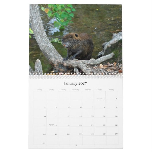 Kalender der Natur-2012 (Jan 2027)