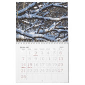 Kalender der Natur-2013 (Feb 2027)