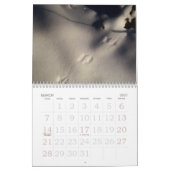 Kalender der Natur-2013 (Mär 2027)