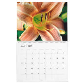 Kalender der Naturszenen (Mär 2027)