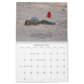 Kalender der Naturszenen und Bibelversionen (Feb 2027)