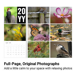 Kalender der naturwissenschaftlichen Fotografie 20