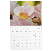 Kalender der Orchideen-2009 (Jan 2027)