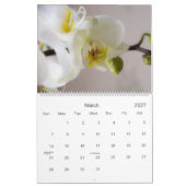 Kalender der Orchideen-2009 (Mär 2027)