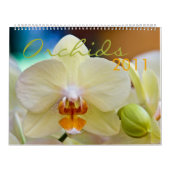 Kalender der Orchideen-2011 (Titelbild)