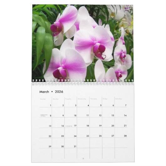 Kalender der Orchideen auf der Rückseite (Mär 2026)