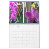 Kalender der Orchideen auf der Rückseite (Jan 2026)