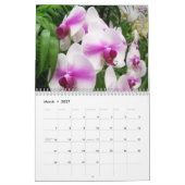 Kalender der Orchideen auf der Rückseite (Mär 2027)