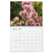Kalender der Orchideen auf der Rückseite (Feb 2027)