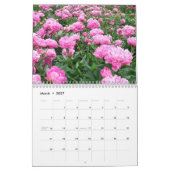 Kalender der Pfingstrosen-2015 (Mär 2027)
