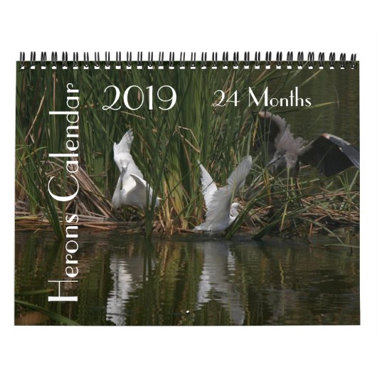 Kalender der Reiher-Vogel-Tier-Tier-2019 (Titelbild)