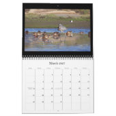 Kalender der Reiher-Vogel-Tier-Tier-2019 (Mär 2027)