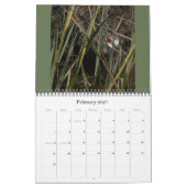 Kalender der Reiher-Vogel-Tier-Tier-2019 (Feb 2027)