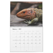Kalender der Reptilien und Schlangen (Feb 2027)