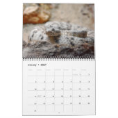 Kalender der Reptilien und Schlangen (Jan 2027)