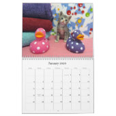 Kalender der Rettungsaktion - Ausgabe 7 (Jan 2026)