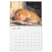 Kalender der Rettungskassette - Ausgabe 2 (Jan 2027)