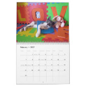 Kalender der Rettungskassette - Ausgabe 2 (Feb 2027)