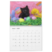 Kalender der Rettungskassette - Ausgabe 2 (Mär 2027)