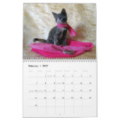 Kalender der Rettungskassette — Ausgabe 3 (Feb 2027)
