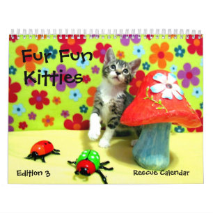 Kalender der Rettungskassette — Ausgabe 3