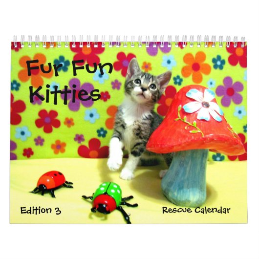 Kalender der Rettungskassette — Ausgabe 3 (Titelbild)