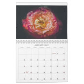 Kalender der Rose 2019 (Jan 2027)
