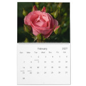 Kalender der Rosen-2009 (Feb 2027)