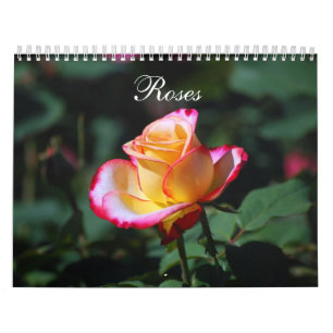 Kalender der Rosen-2012