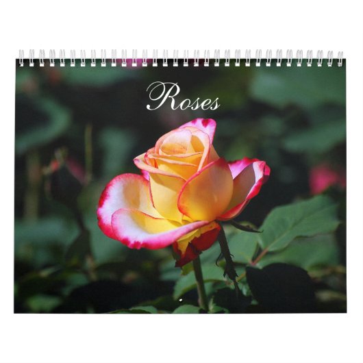 Kalender der Rosen-2012 (Titelbild)