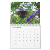 Kalender der Schmetterlings-2010 (Feb 2027)