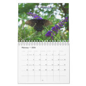 Kalender der Schmetterlings-2010 (Feb 2026)