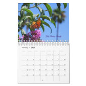 Kalender der Schmetterlings-2010 (Jan 2026)