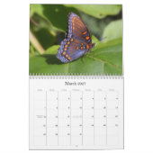 Kalender der Schmetterlings-2011 (Mär 2027)