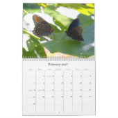Kalender der Schmetterlings-2011 (Feb 2027)