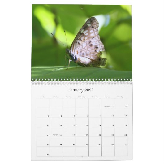 Kalender der Schmetterlings-2011 (Jan 2027)