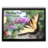 Kalender der Schmetterlings-2011 (Titelbild)