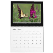 Kalender der Schmetterlings-2017 durch Thomas (Mär 2027)