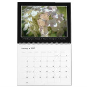 Kalender der Schmetterlings-2017 durch Thomas (Jan 2027)