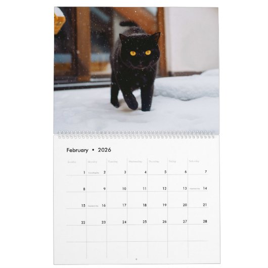 Kalender der Schwarzen Katzen (Feb 2026)
