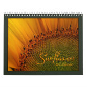 Kalender der Sonnenblume-2011 (Titelbild)