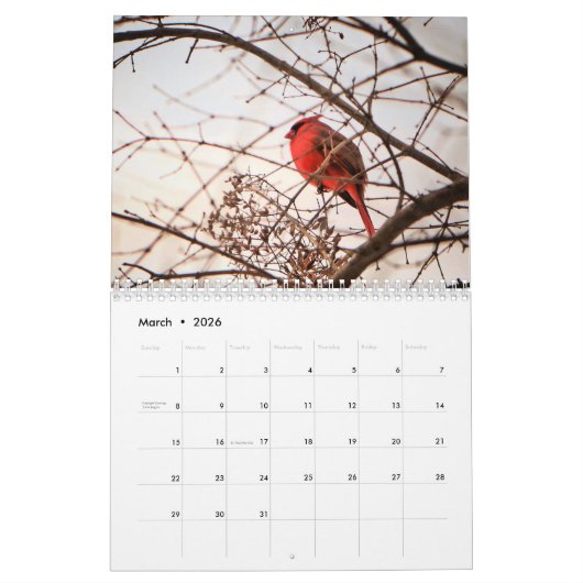 Kalender der Städte (Mär 2026)