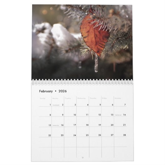 Kalender der Städte (Feb 2026)