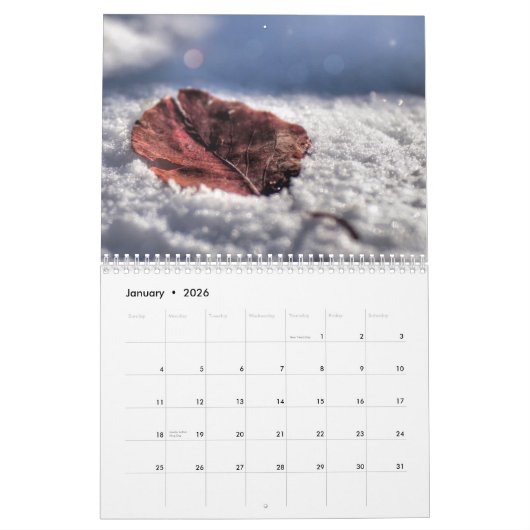 Kalender der Städte (Jan 2026)