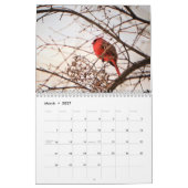 Kalender der Städte (Mär 2027)