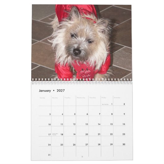 Kalender der Steinhaufen-Terrier-2011 (Jan 2027)
